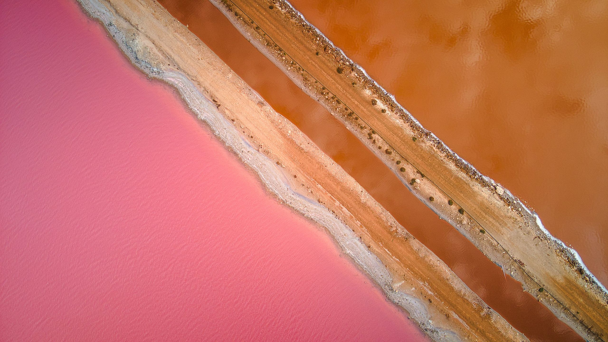 Aerial drone view of Hutt Lagoon (Pink Lake), Western Australia showcasing the range of colours from bubble gum pink to chocolate brown.