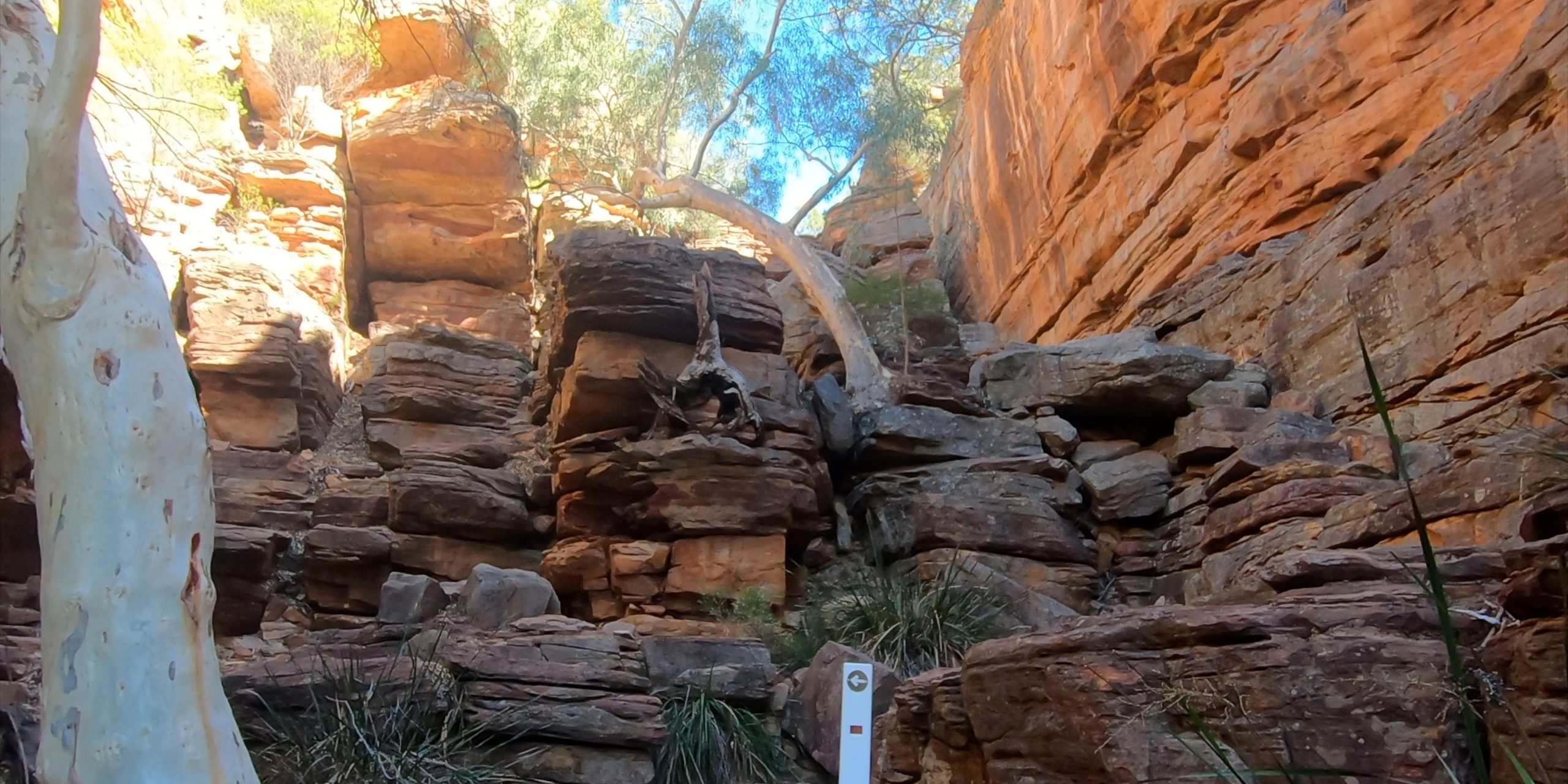 Uphill hike on the Z Bend River Trail in Kalbarri National Park, Western Australia, with large boulders, river red gums, and towering red cliff faces