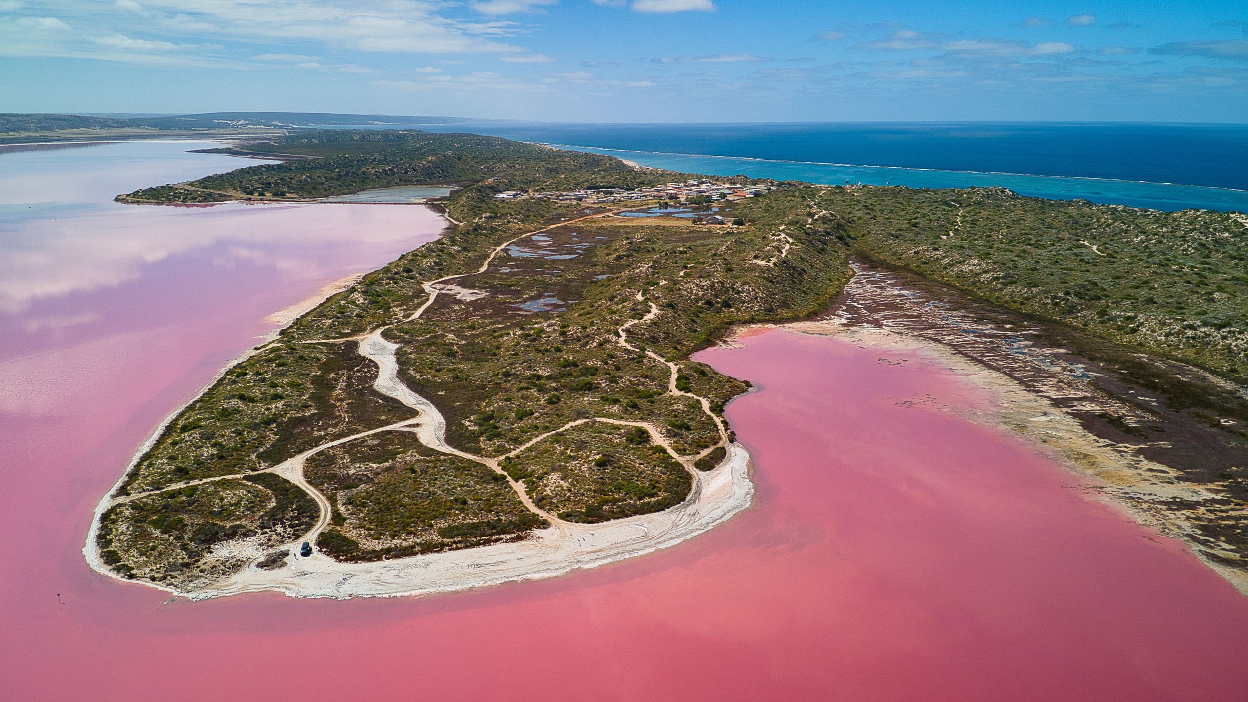 Aerial drone view of Hutt Lagoon, Western Australia—bubblegum‑pink salt lake bordered by scrubland and the deep blue Indian Ocean.