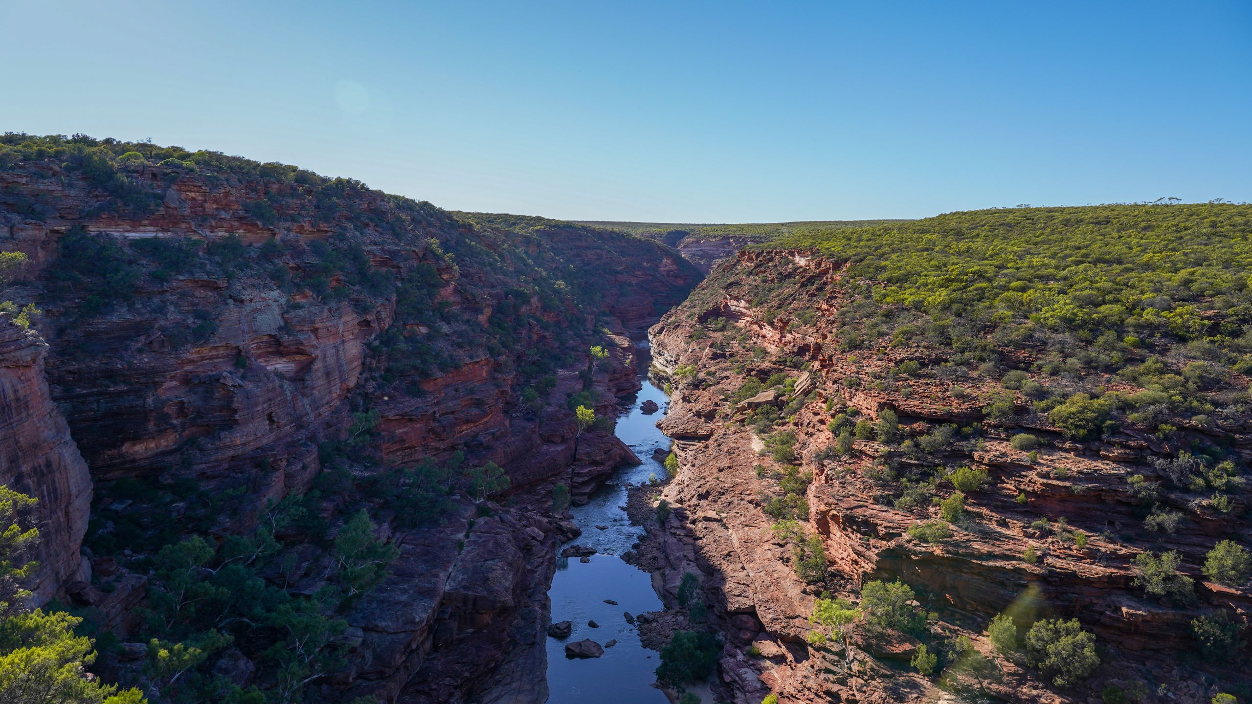 Scenic view from Z Bend Lookout in Kalbarri National Park, Western Australia, showcasing the Murchison River Gorge, red rock formations, and native vegetation under a clear blue sky.