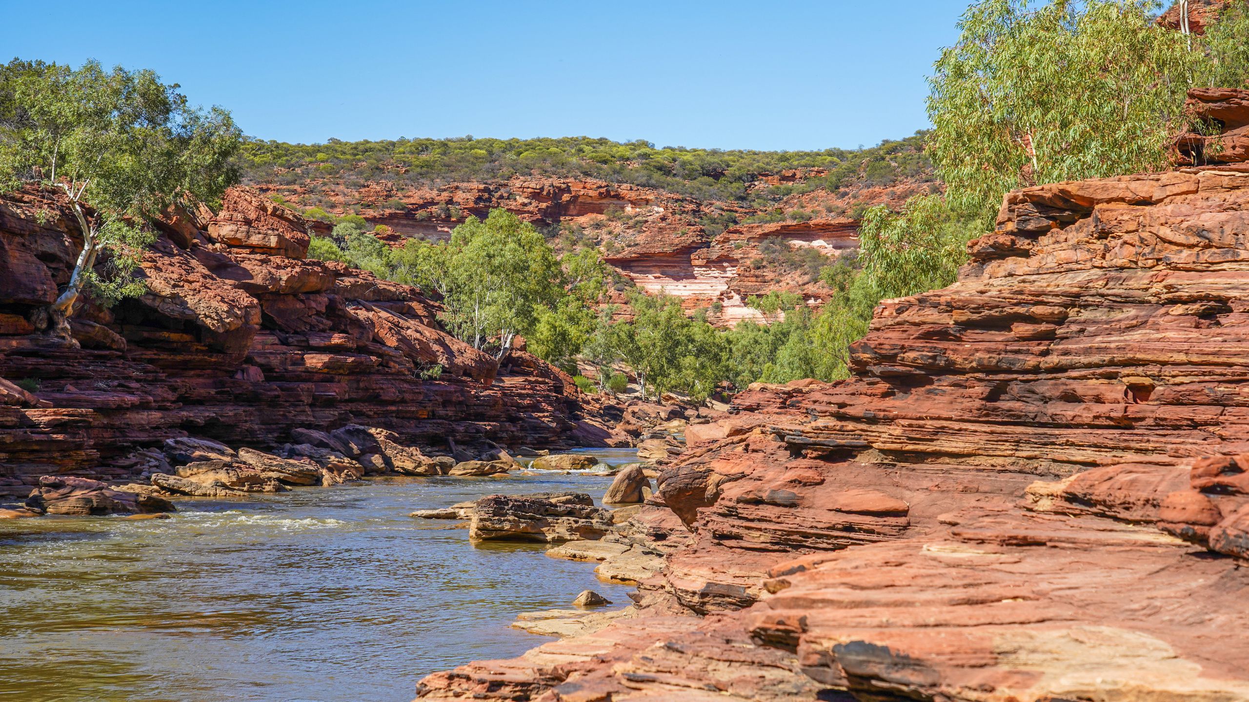 Scenic view from the end of the Z Bend River Trail in Kalbarri National Park, Western Australia, featuring the Murchison River flowing through towering red sandstone cliffs and rugged outback terrain