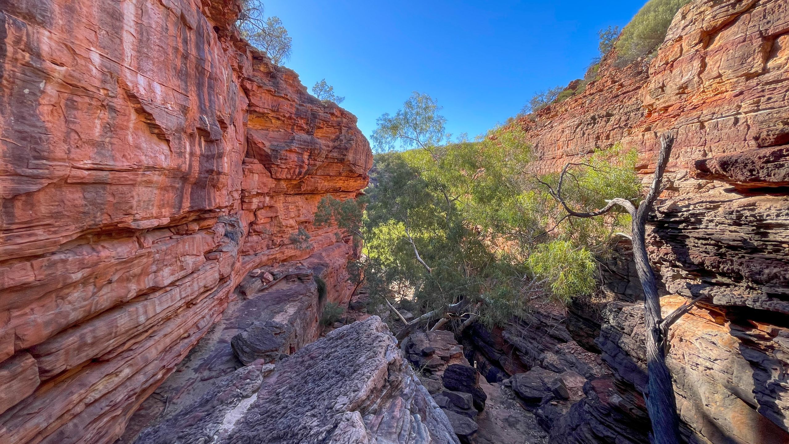 Close-up of the Z Bend River Trail's steep descent, featuring rocky steps surrounded by rugged red cliffs and native bushland