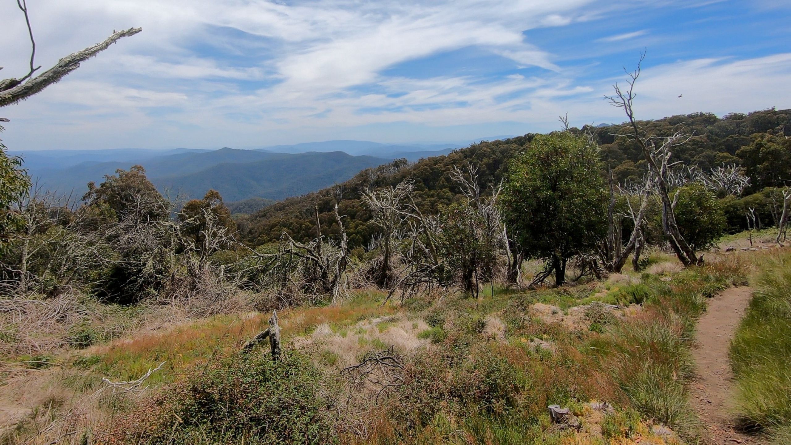 Craig’s Hut walking trail leading toward sweeping alpine views in Victoria’s mountainous High Country.