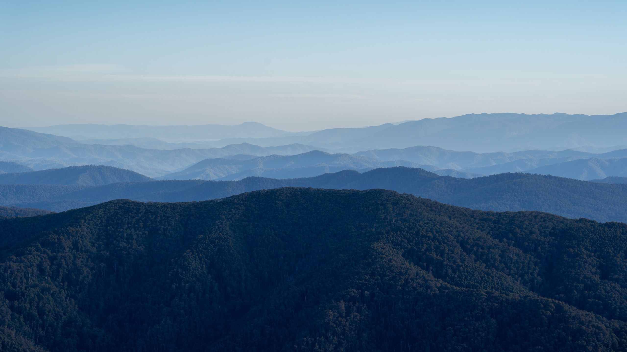 Scenic view of the Australian Alps from Mount Buller with layered mountain ranges, misty peaks, and eucalyptus forest under a soft morning light.