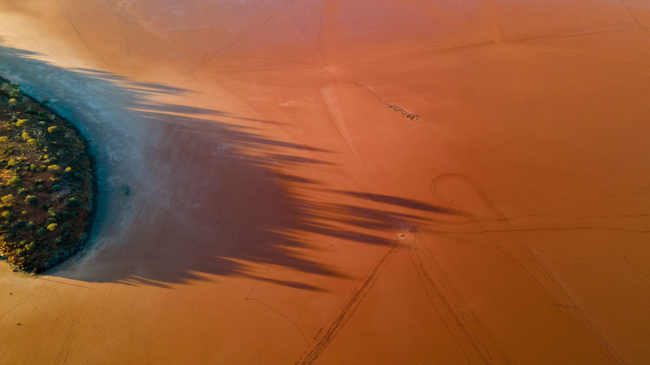 Aerial downward view of Lake Ballard showing yellow, brown, and orange mud flats with tree shadows stretching across the surface. Footprints and bike tracks are visible winding through the soft mud.