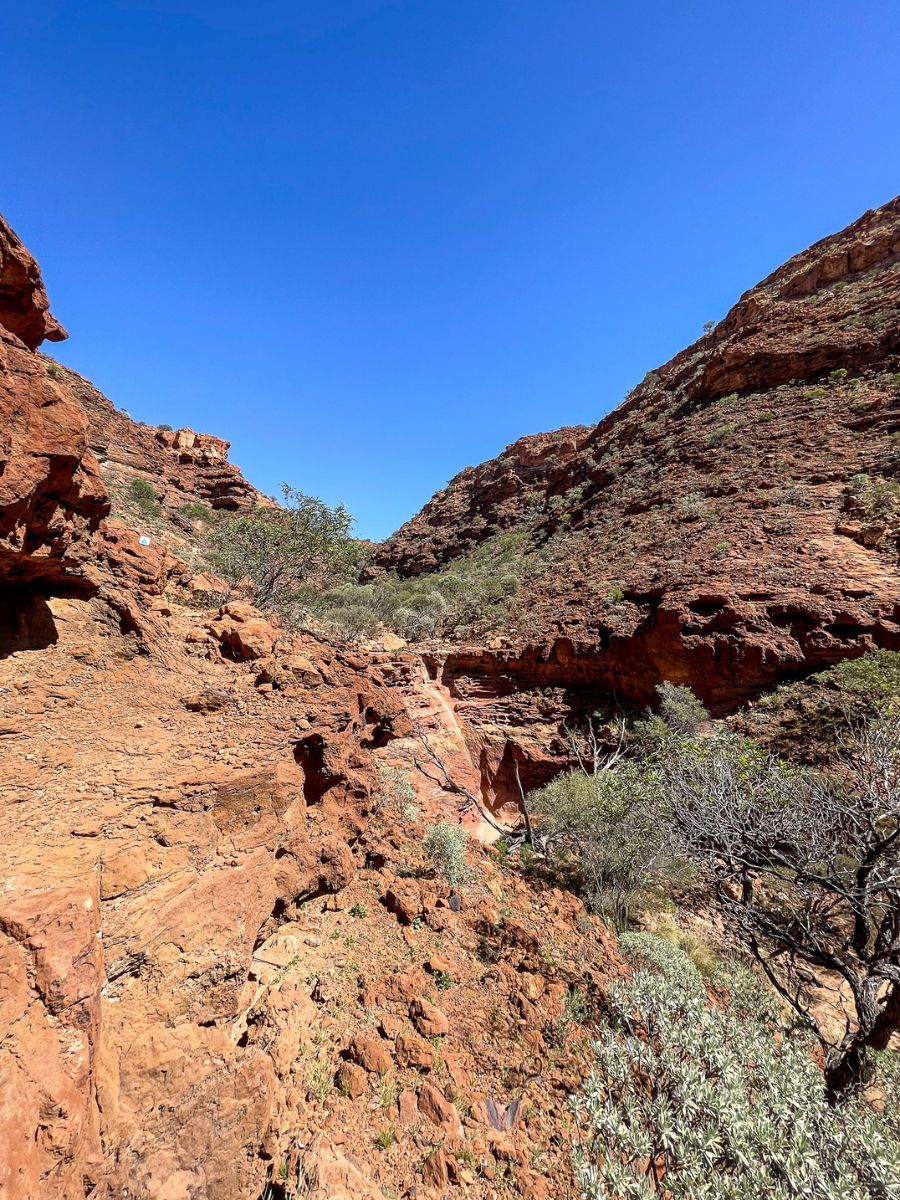 View along the Drapers Gorge Trail in the Kennedy Ranges, showing a narrow rocky ledge with trail markers guiding the route through the gorge.
