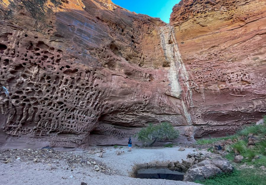 Hikers exploring Honeycomb Gorge in Kennedy Range National Park, Western Australia, surrounded by red cliffs and honeycomb-patterned rock formations.