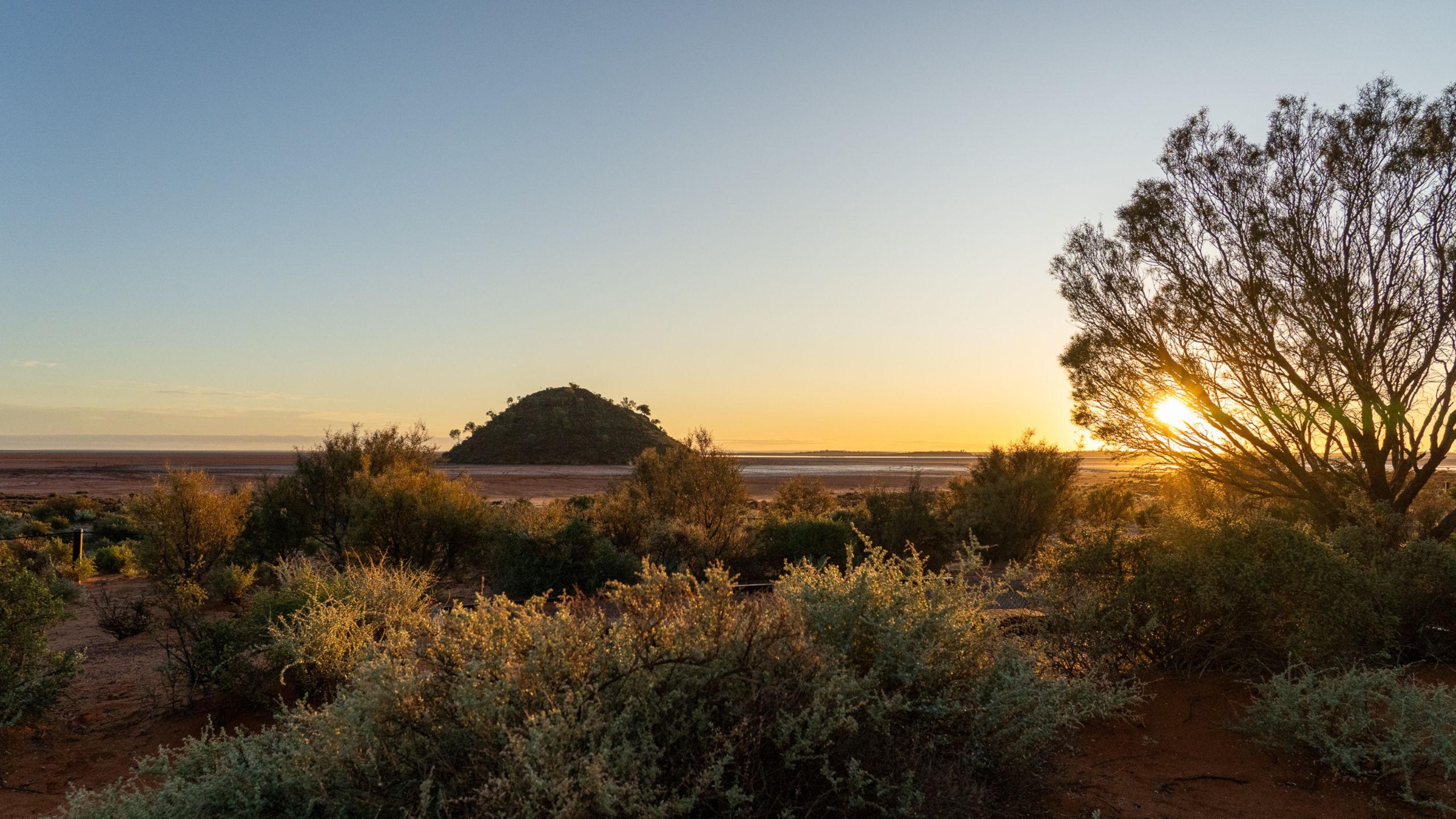 Sunrise over Lake Ballard with soft golden light illuminating the distant hill, while low scrub bush fills the foreground of the salt lake landscape.