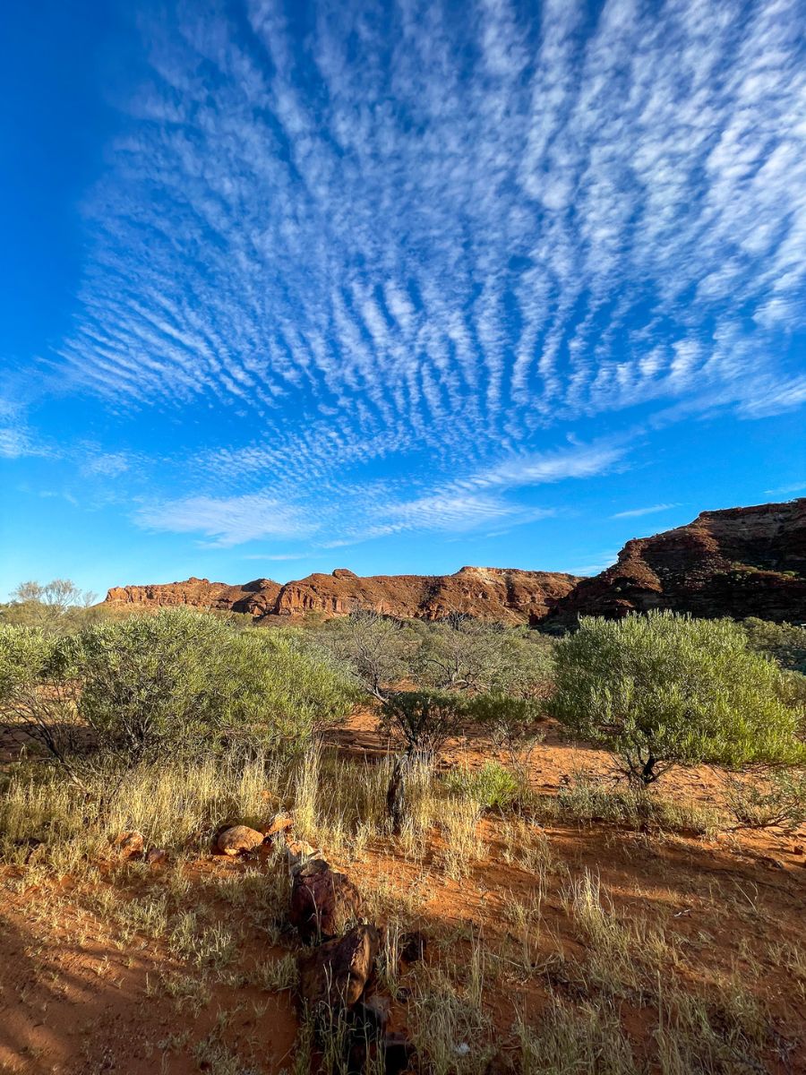 Scenic view from Temple Gorge Campground in Kennedy Ranges, Western Australia, showing rugged red cliffs, sparse desert vegetation, and a clear blue sky over the arid landscape.
