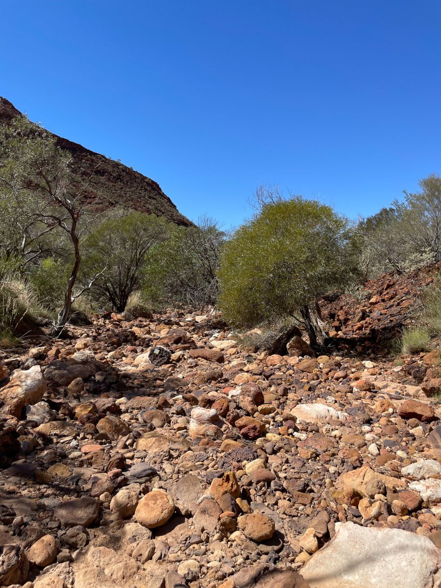 Dry creek bed along the Temple Gorge Trail, Kennedy Ranges, WA featuring smooth river stones, desert plants, and cliff walls