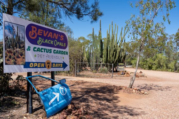 Entrance to Bevans Cactus Nursery in Lightning Ridge - seen on the Blue Car Door Tour